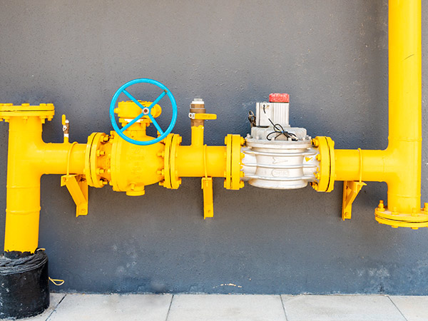 c��(�й���) - �ٷ���վ